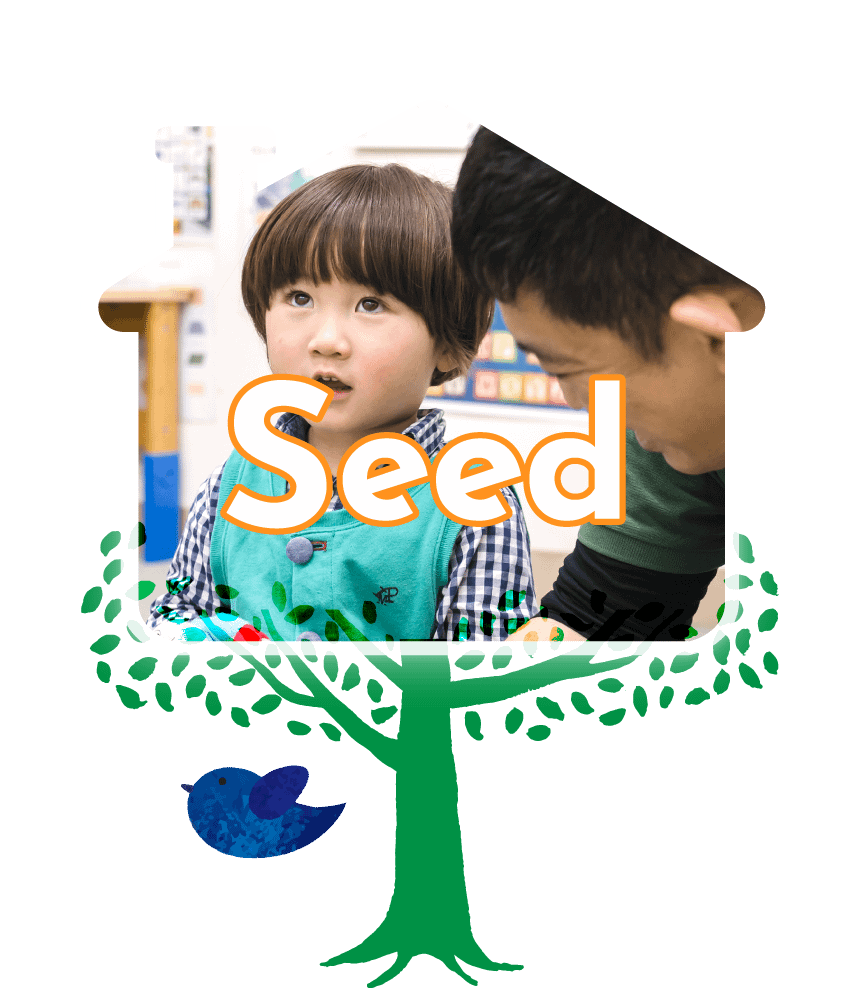シードクラス