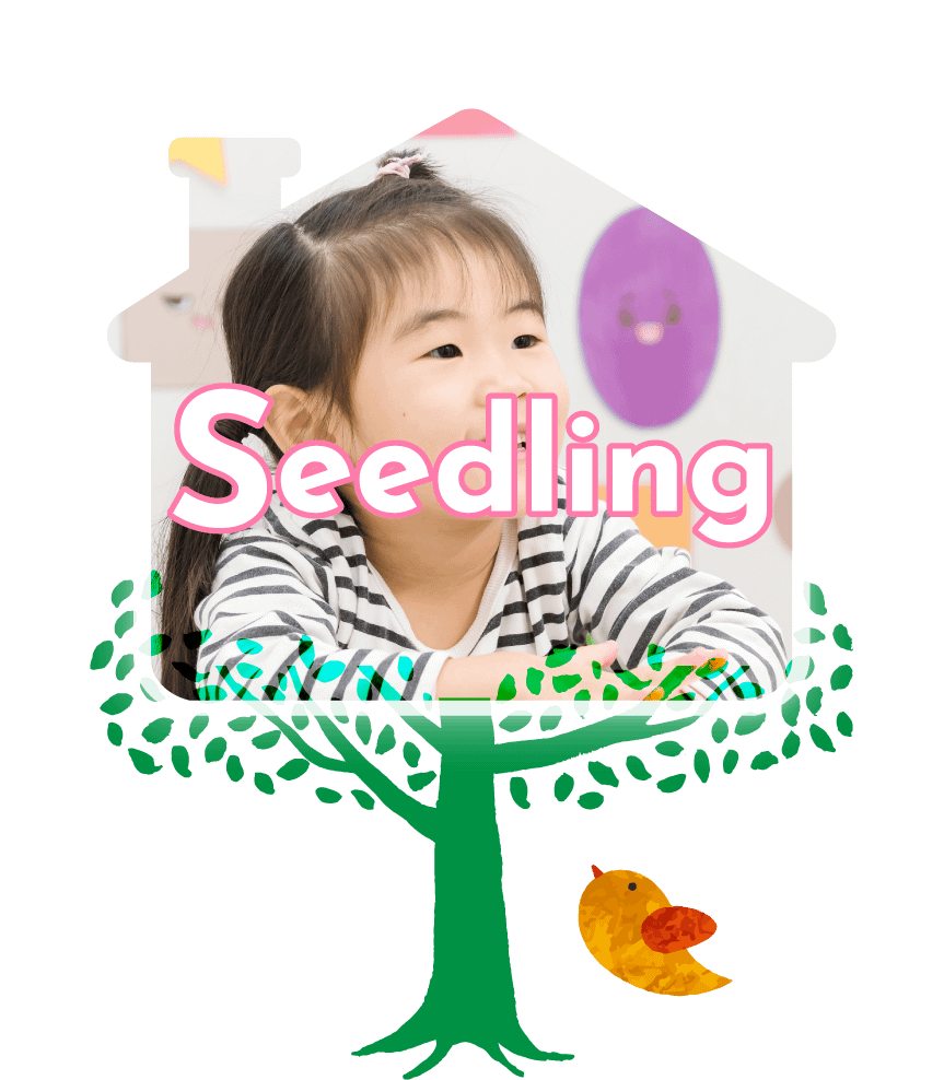 シードリングクラス